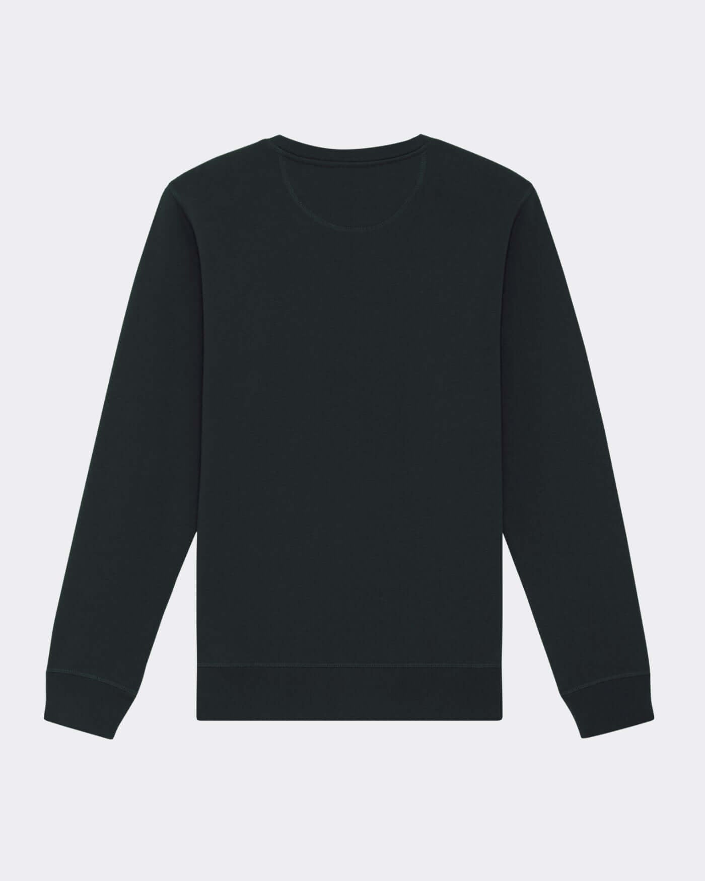 Piastri 81 Sweater - Black, unisex design hoodie, premium quality fabric.